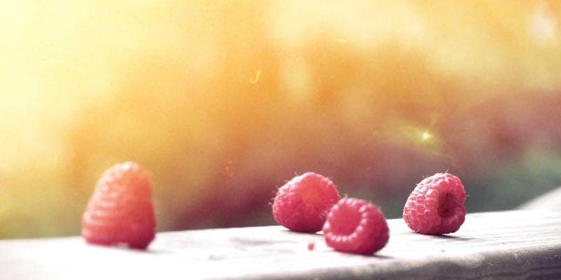 Omnilude Blog 프로젝트 썸네일